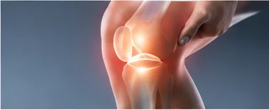 Ligament & Meniscus Injuries physiotherapy condition visual