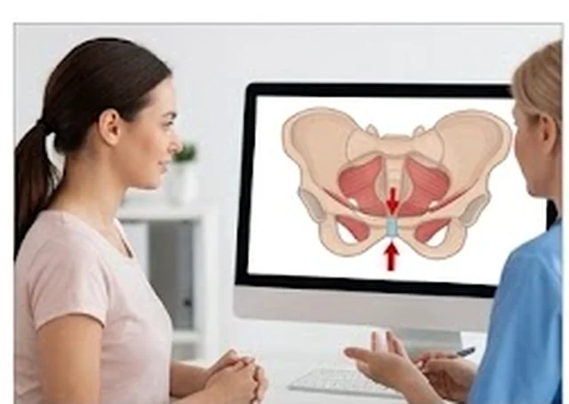 Chronic Pelvic Pain women’s health physiotherapy visual